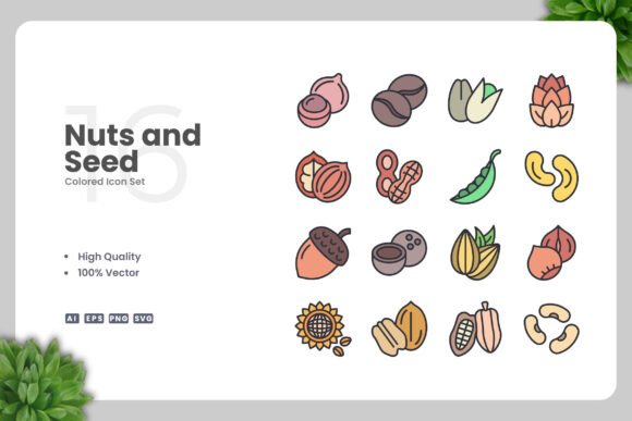 Nuts and Seed Colored Icons for Modern Design Workflows